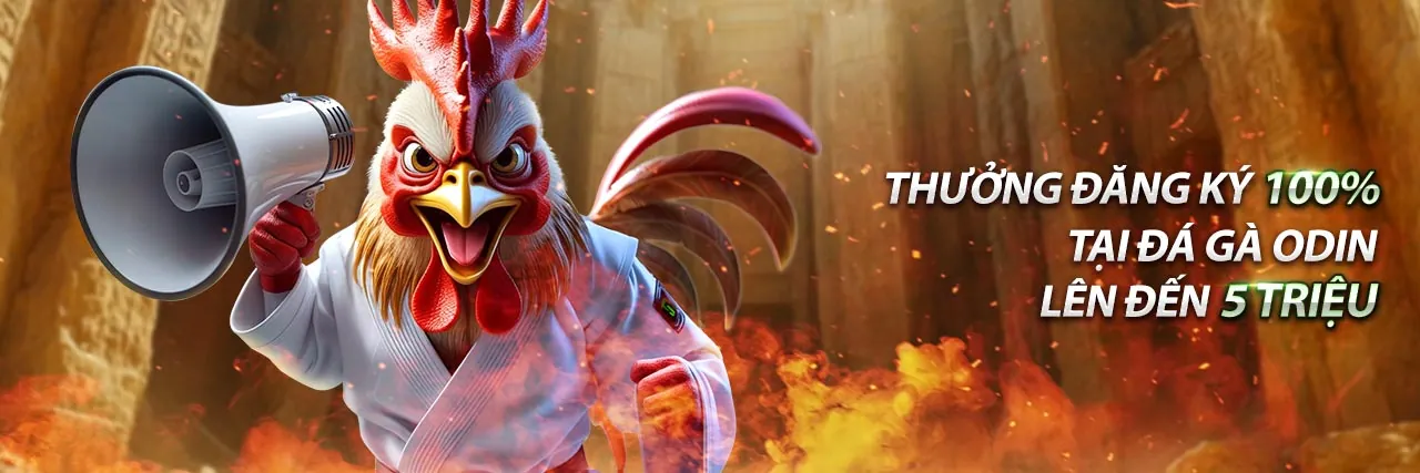 Các bước bắt đầu hợp tác